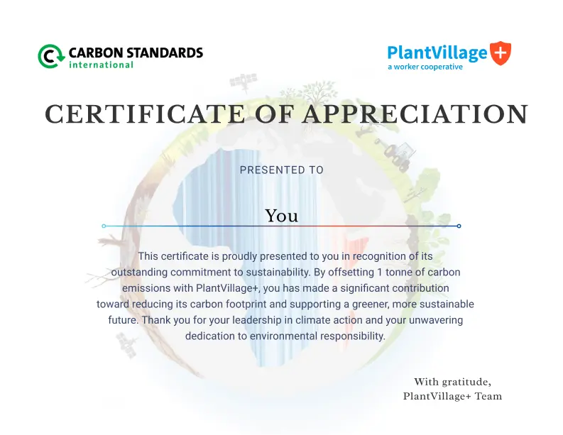 Example of personalized monthly carbon credit certificate showing tracking details and impact metrics