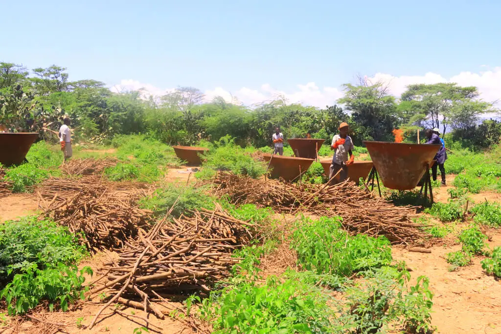 Kon-tiki kilns used by farmers in remote areas for small-scale biochar production